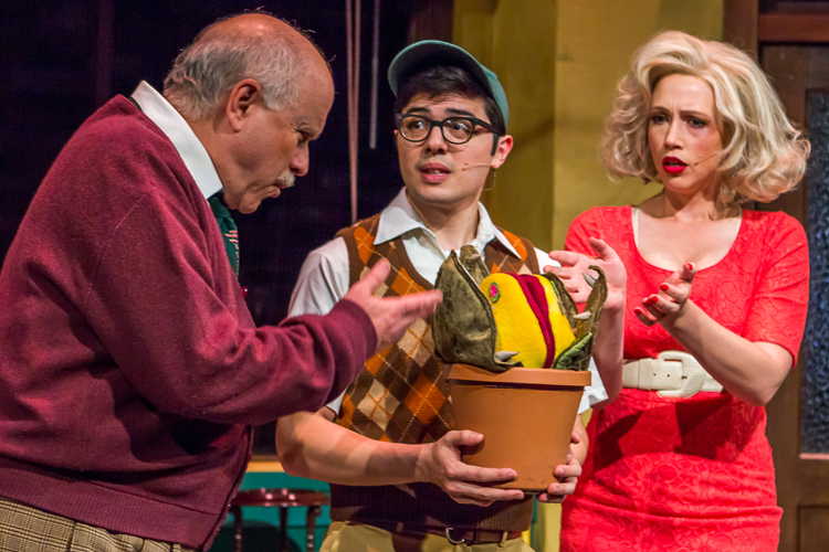 Little Shop of Horrors at Harlequin Productions